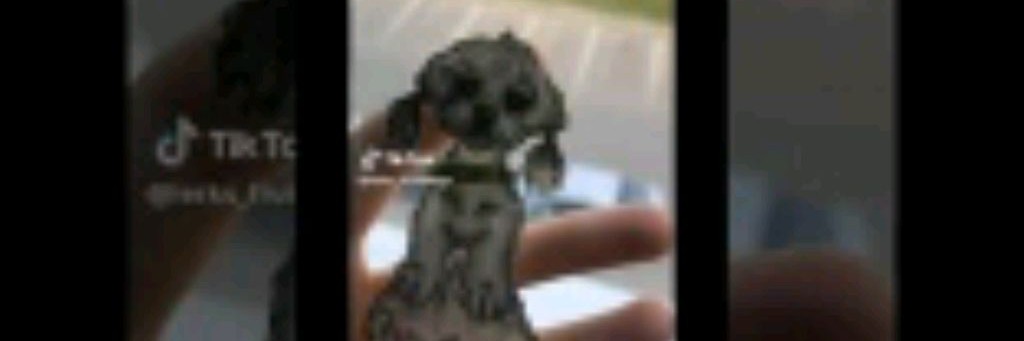 🤟🏻★Bas_cats★🤟🏻