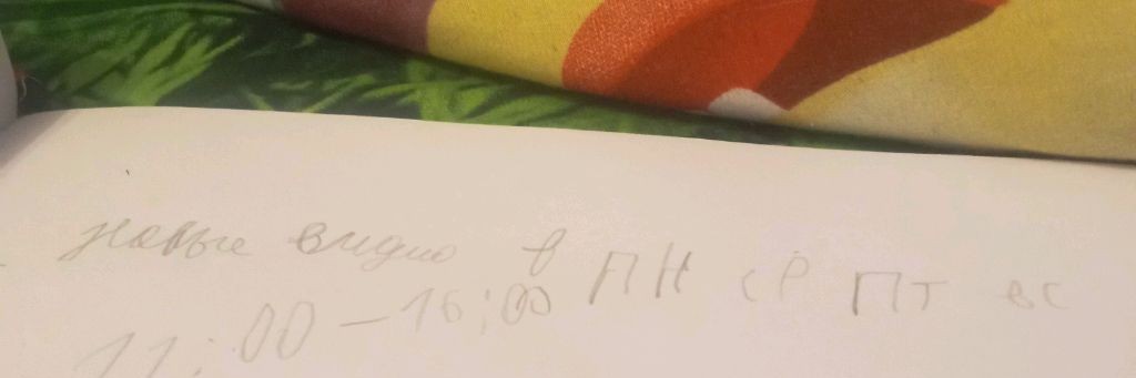 Русик И Миша