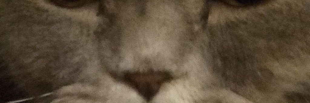 😝Барси-чок❤️🩹