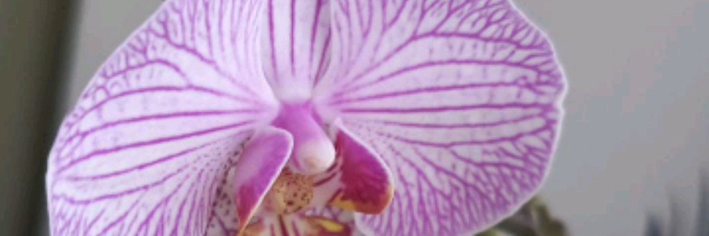 💎АННА АЛМАZ🧿