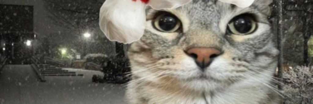 ꧁꧁𝑵erpirulyat꧂꧂