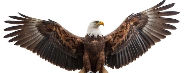 Леки маркет