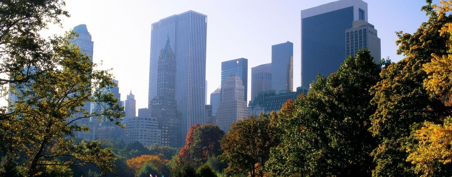 Серега Царь