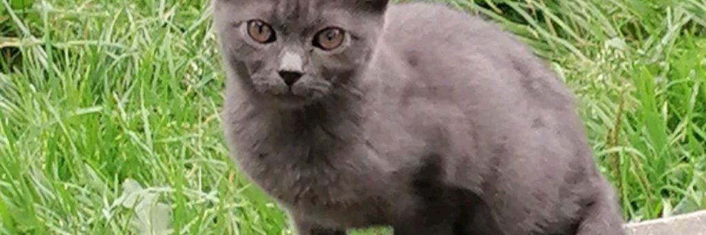 Вика И Беззубик🐲🖤