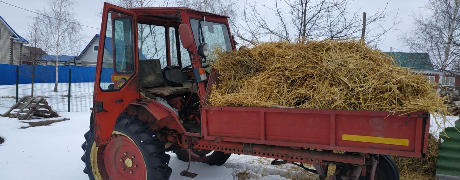 Деревенская жизнь