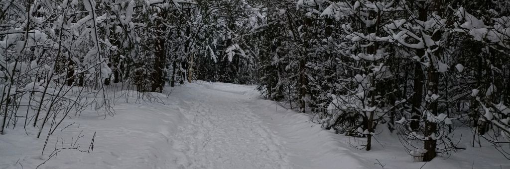 Жизнь-панк-рок/ Или просто жизнь Юли🎼🎧🎸🎤🎬