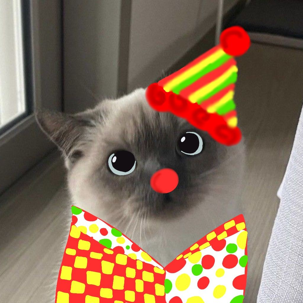 𝚂𝚘𝚗𝚕𝚊𝙶𝚎𝚖𝚎𝚜🩵