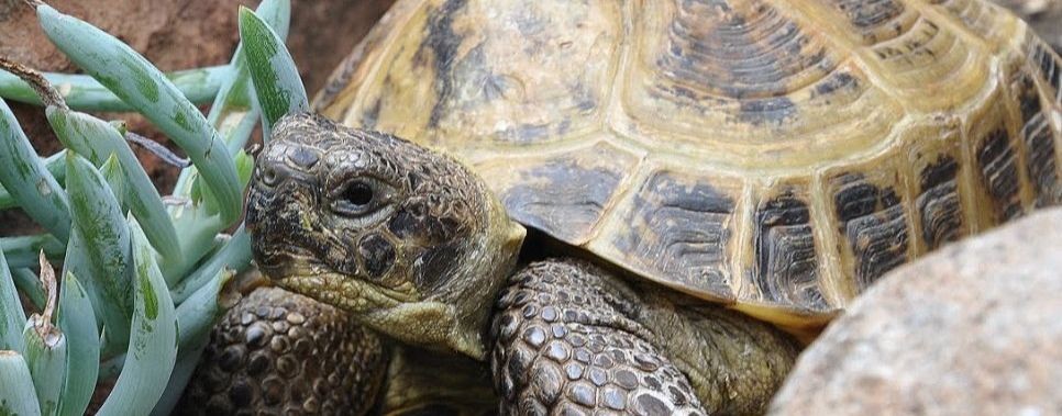 Касатки ребятки🦈🐳🐟🦭🐧🐬