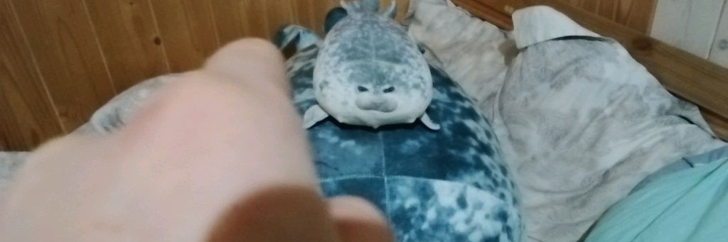 Тюлень Командир🚭🔞🇷🇺🎄❄️☃️(🐱🟣⚪❌)