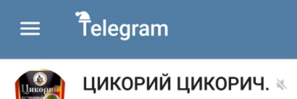 Цикорий Цикорич