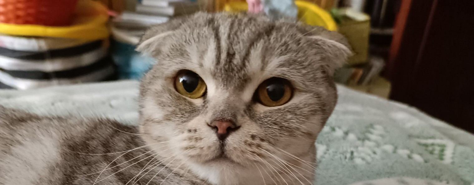 Жанна Литягина КОМПОЗИТОР, АВТОР СКАЗОК