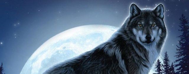 Волчья Стая