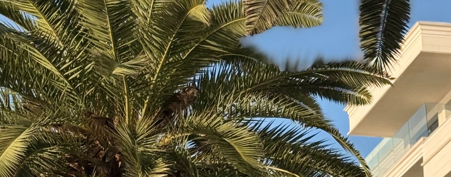 Честная Юлия | Премиальная недвижимость Сочи