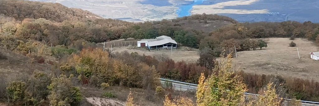 Флера Галимова