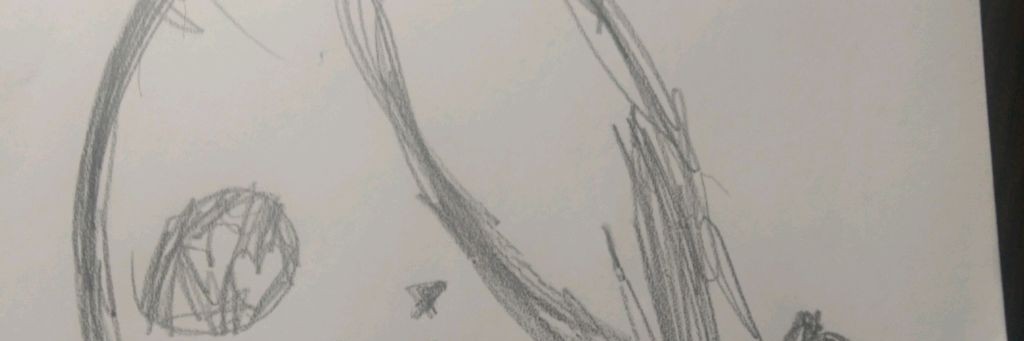 Кошки воины