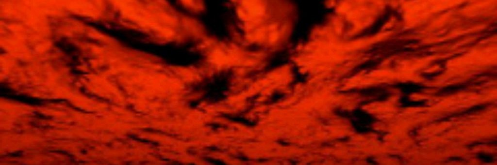 🍃🫐Черника🫐🍃