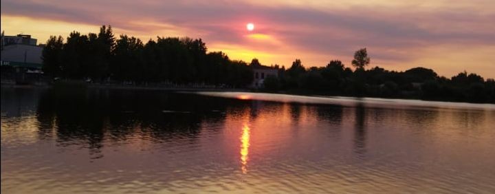 Технолоджия