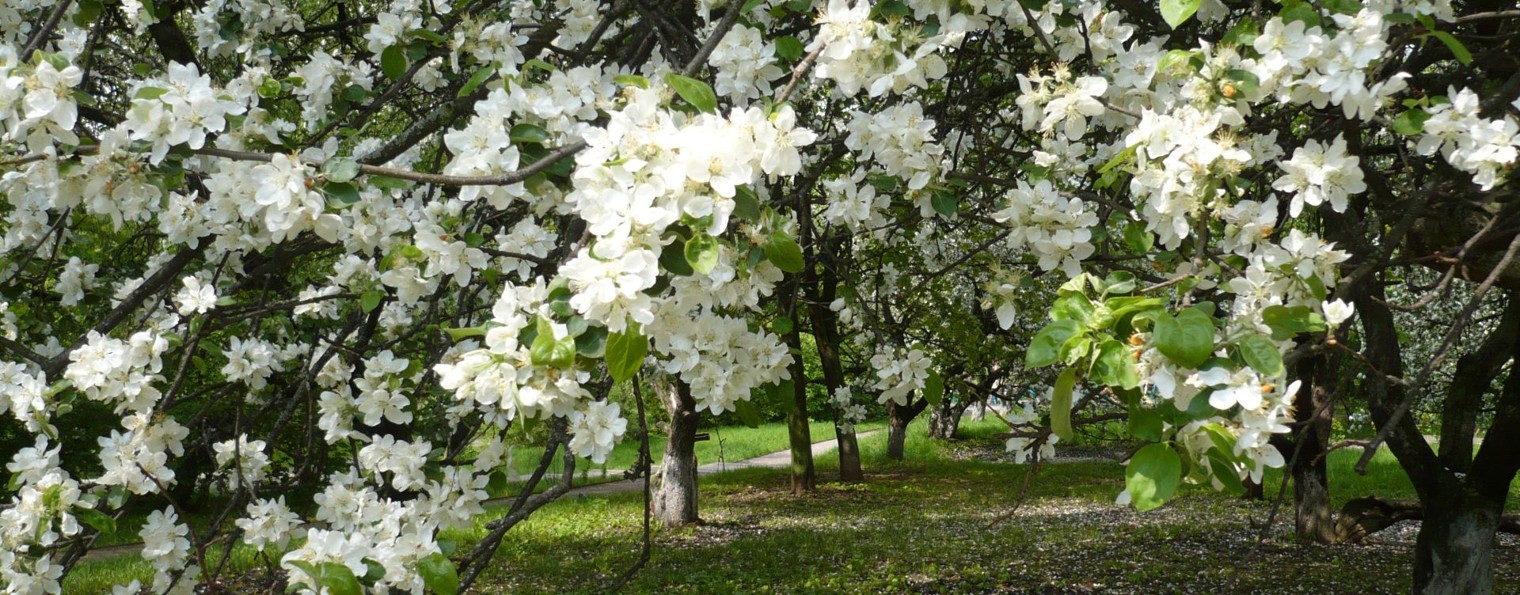 НЕСЛУЧАЙНО