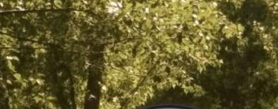 —🌷^^ollu_wind^^🍃