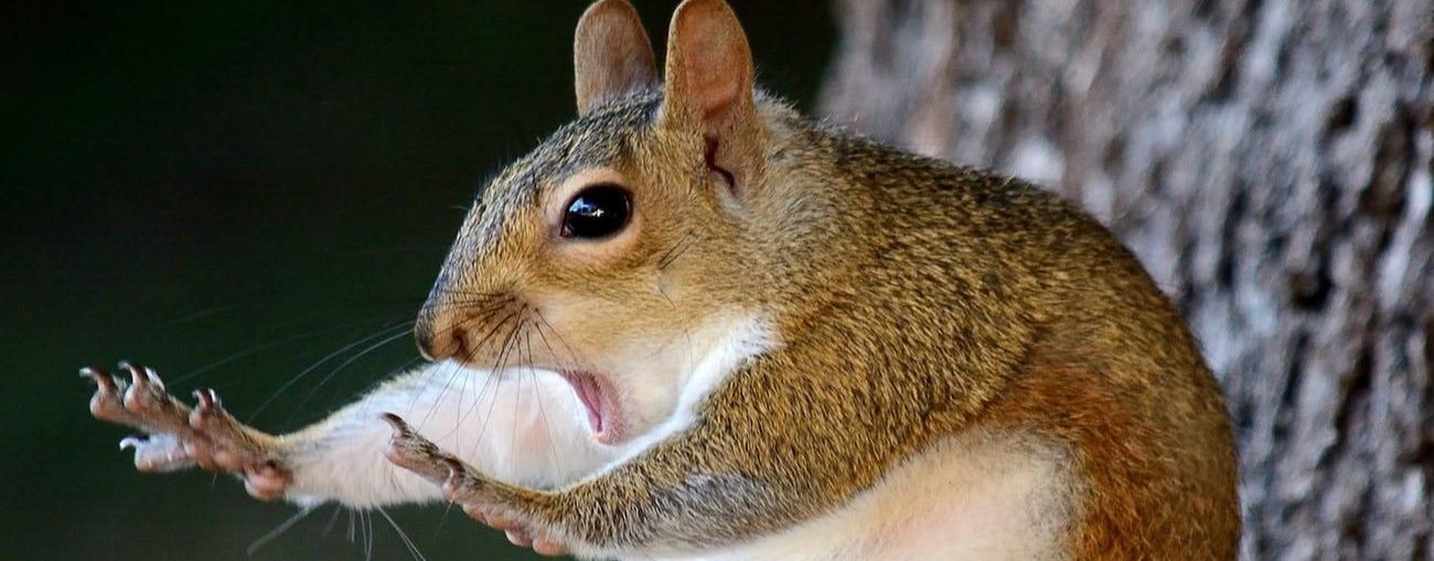 🔥🤣 музыка ⚡ 2026 💥