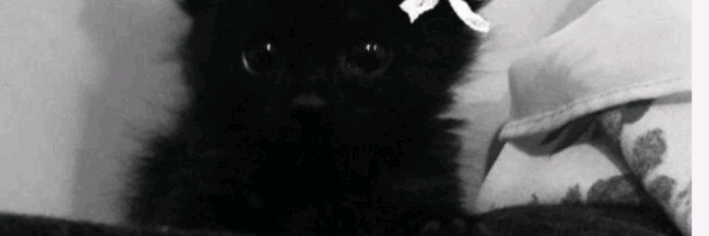 ❤️Кирусик❤️