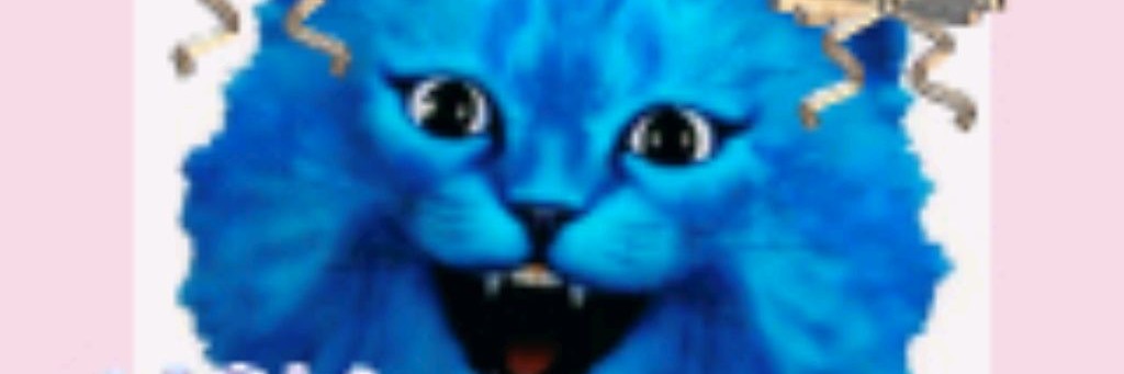 КОШЕЧКА ЛАЙК