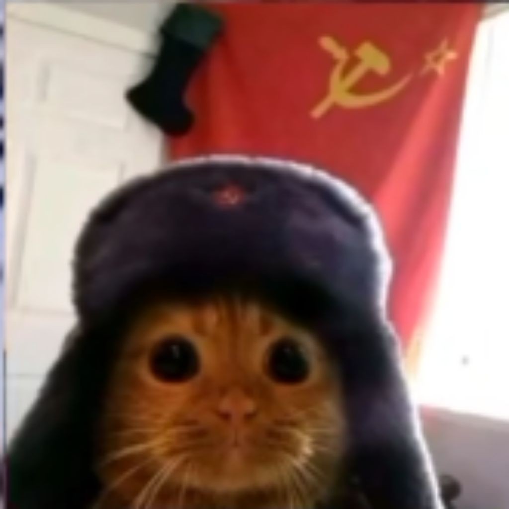 斯坦多夫┻⁠┻⁠︵⁠¯⁠\⁠(⁠ツ⁠)⁠/⁠¯⁠︵⁠┻⁠┻(⁠┛⁠ಸ⁠_⁠ಸ⁠)⁠┛⁠彡⁠┻⁠━⁠┻