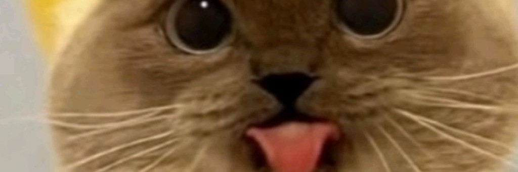 Айнур Добрый