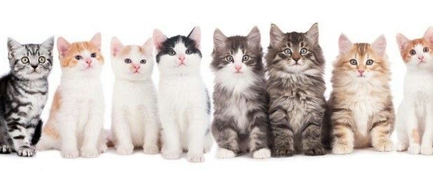 НАРЕЗКИ ТВИЧ СТРИМЕРЫ