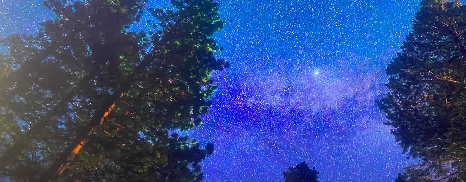 Хатсуне Мику🪩🍩🍨❤️🔥💜💛