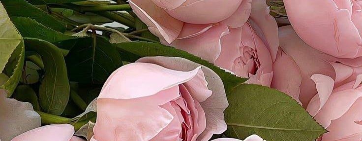 Жить в балансе! Женский нутрициолог.