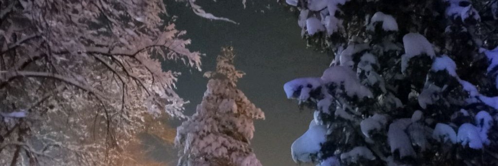 Любовь в пути