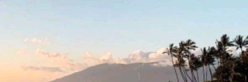 ::ᴠᴀʀʏᴀ ғᴀᴍɪʟʏ ᴀᴠᴀᴛᴀʀ_—🐚