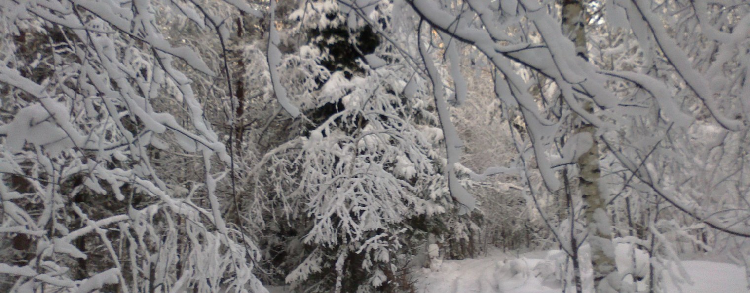 Дверь в окно