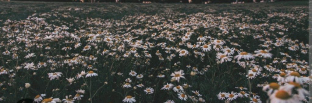 ‧͙⁺˚*･༓☾Шаурма И Квас ☽༓･*˚⁺‧͙