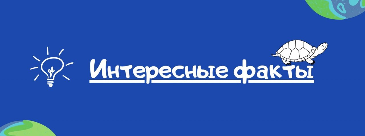 Интересные Факты