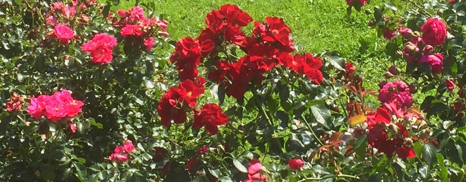 ЯРКИЕ  ЭМОЦИИ