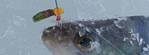 Даниловские мушки мормышки