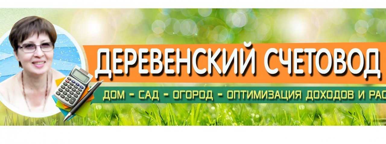 Деревенский счетовод