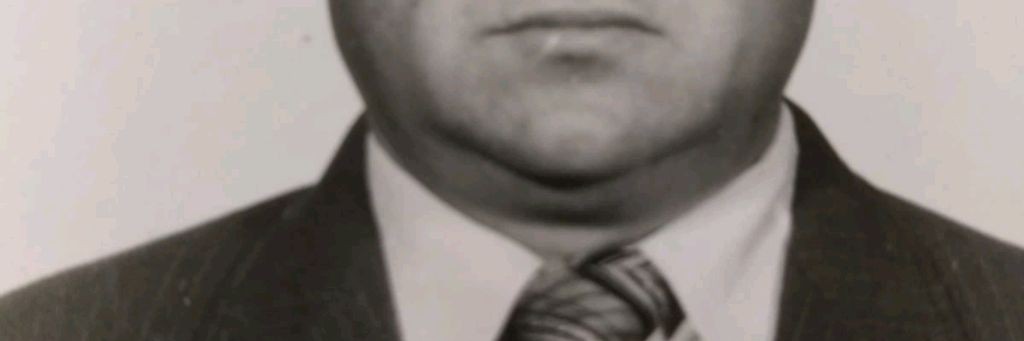 Василий Кислянских (ВИКИНС)