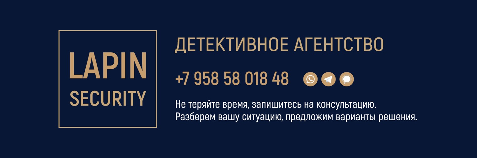 LAPIN SECURITY частное детективное агентство
