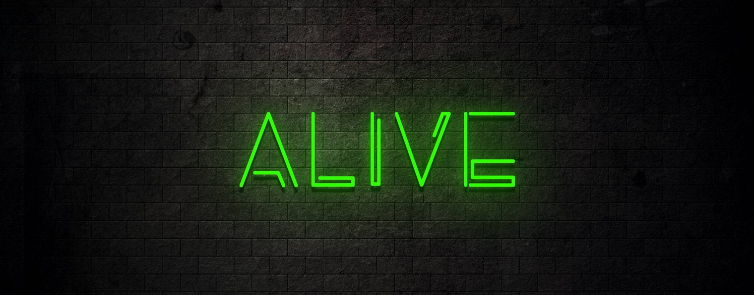 TheAlive55