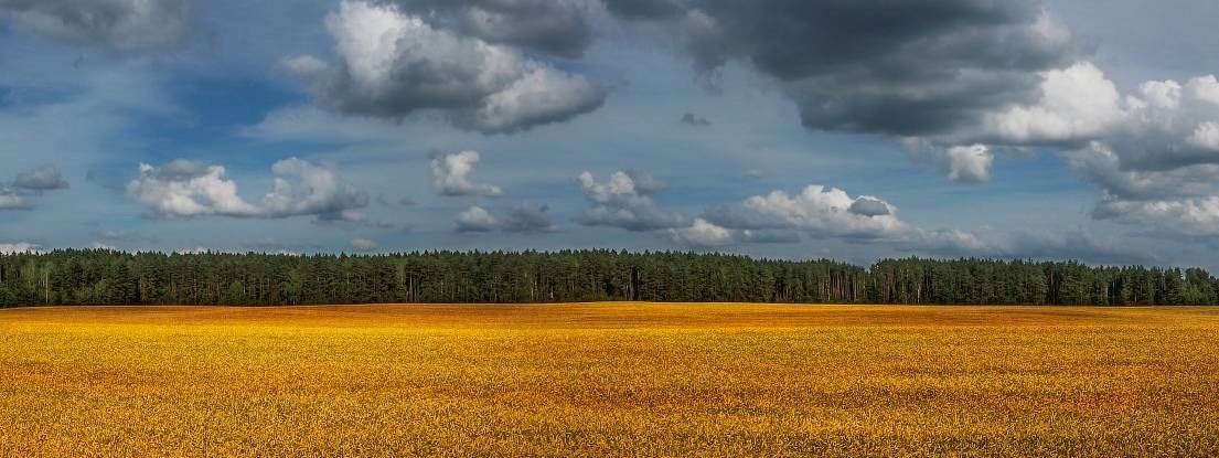 Буквы и Цифры