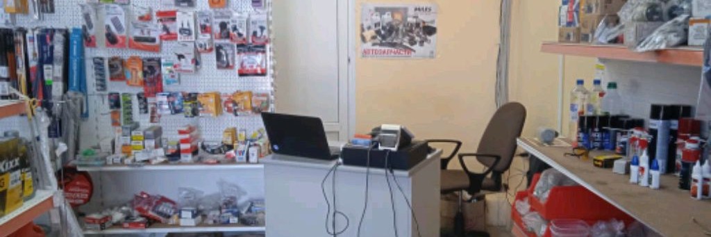 Старожилово Автомастер