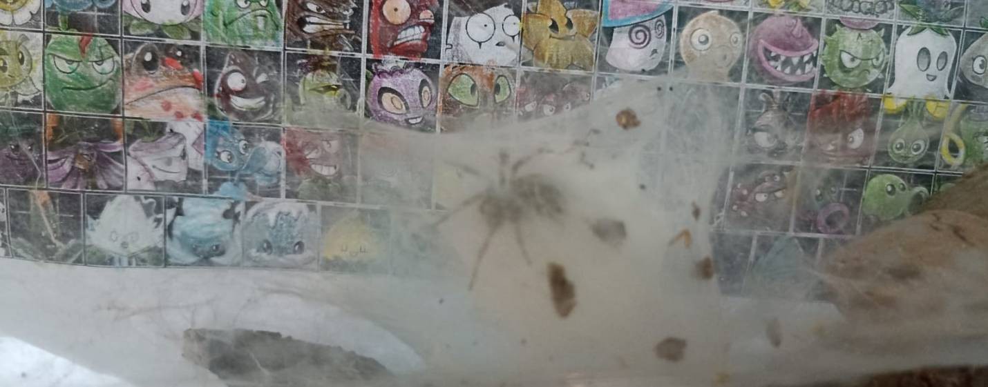 Закатов Михаил