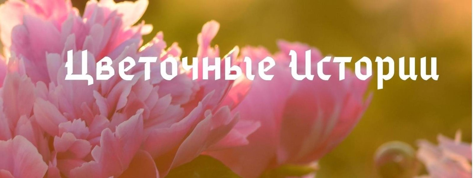 Цветочные Истории