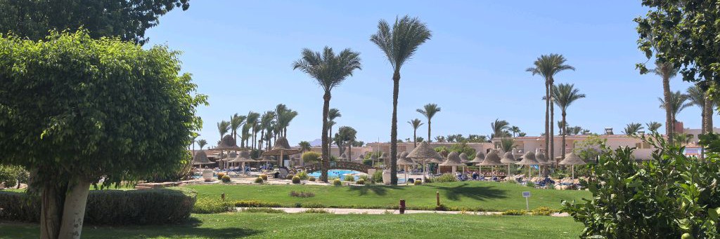 Анютка Незабудка 🌸