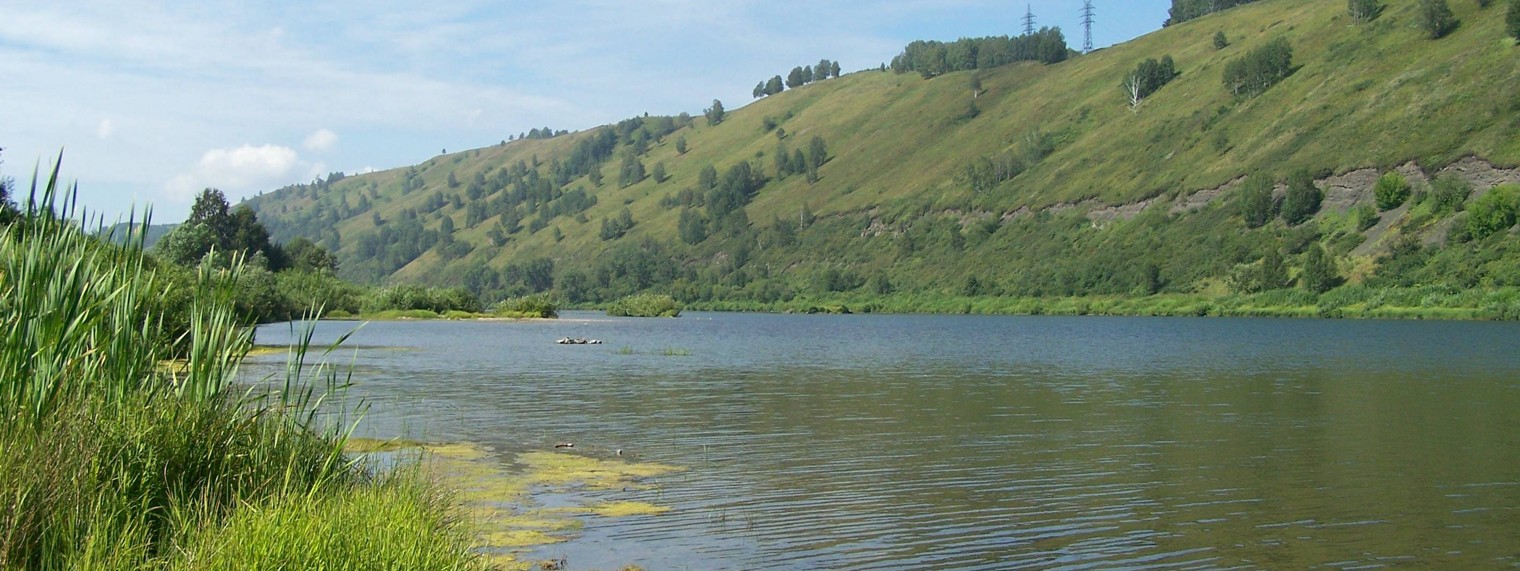 Елена Шевченко