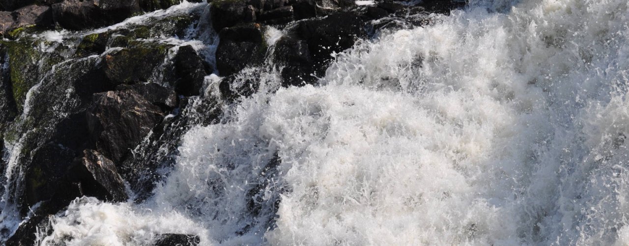 Сезонное Хобби.