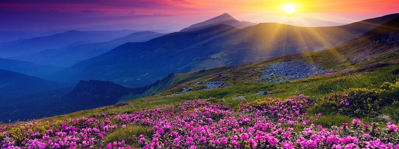 Татьяна Жукова